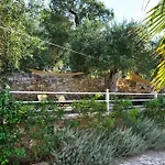 Casa Bianca Orange * 가이오스