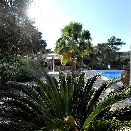 Casa Bianca Orange * Gaios