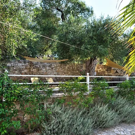 Casa Bianca Orange * Gaios